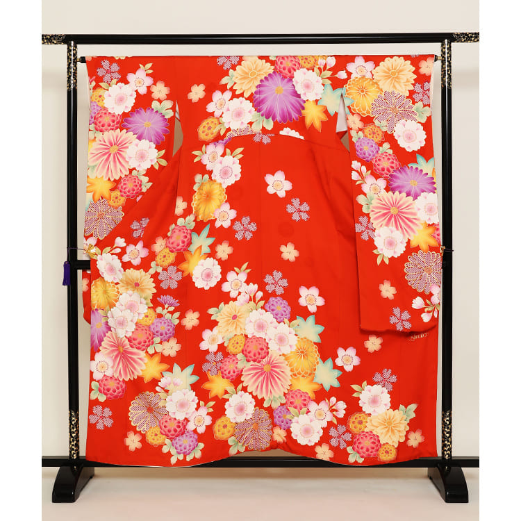 朱赤に菊桜