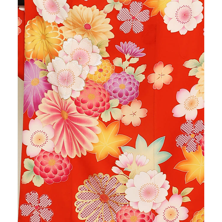 朱赤に菊桜