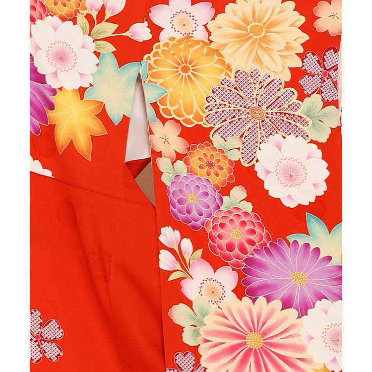 朱赤に菊桜