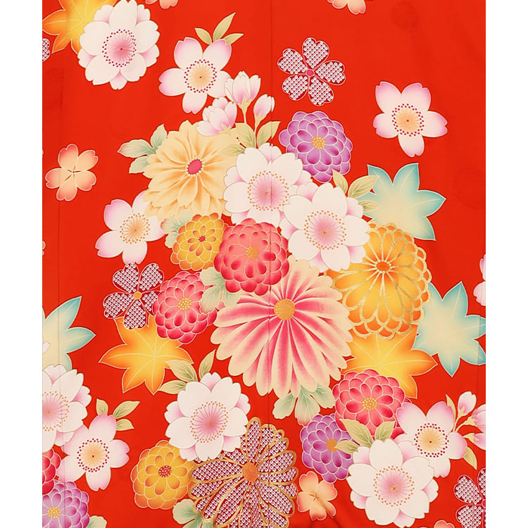 朱赤に菊桜