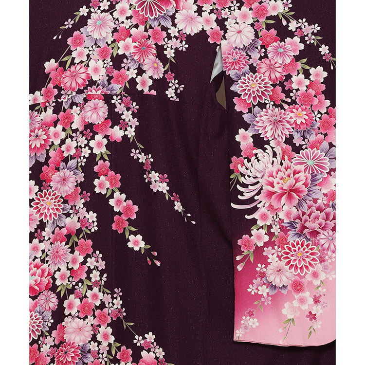 赤紫　大輪の菊や牡丹
